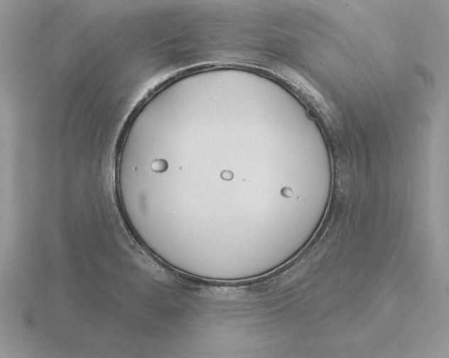 X0000115831280200912111305