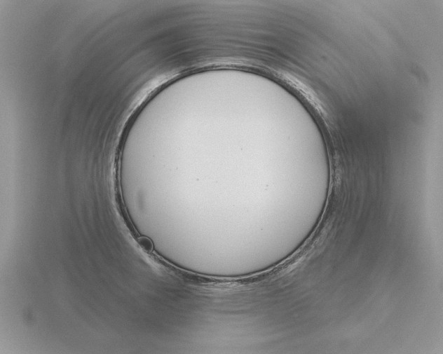 X0000115831282200912111305