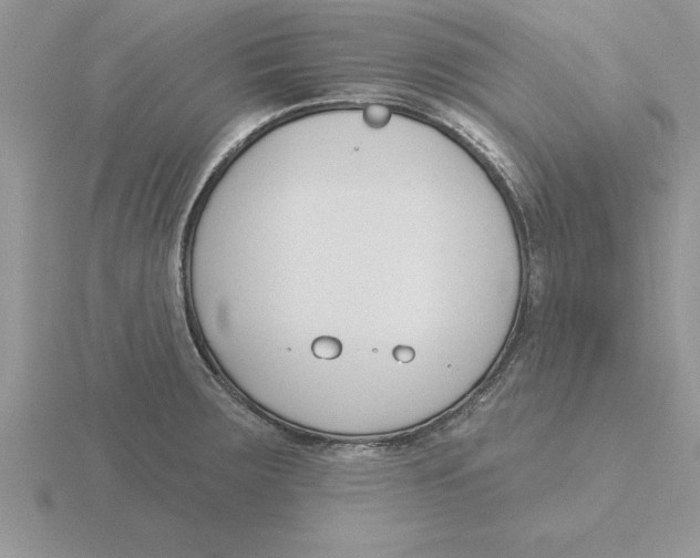 X0000115831283200912111305