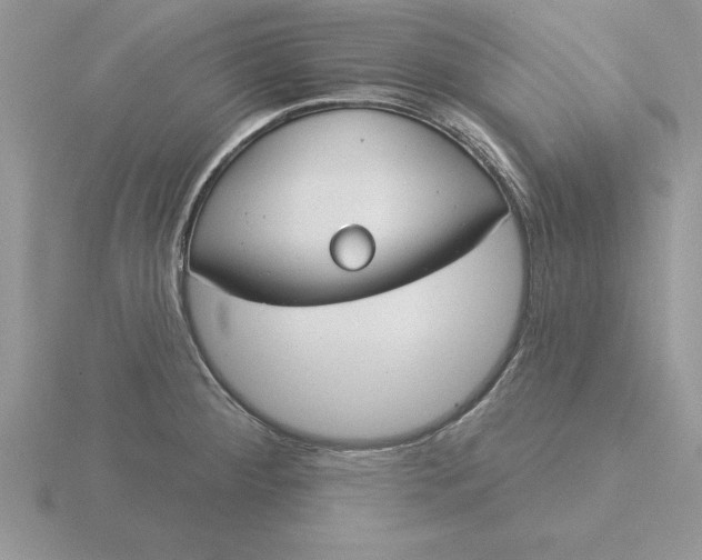 X0000115831284200912111305