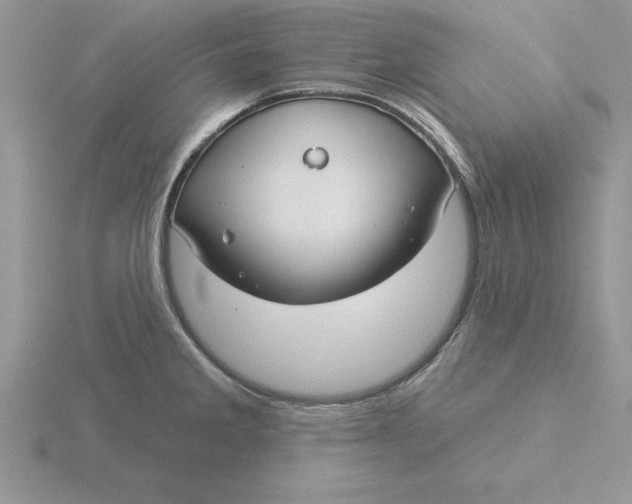 X0000115831285200912111305