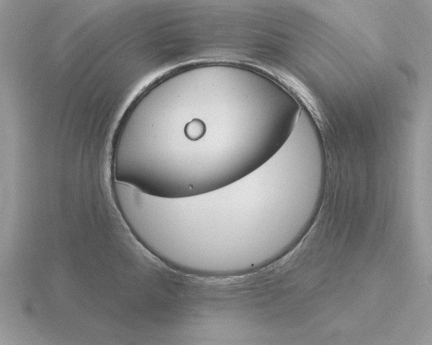 X0000115831288200912111304