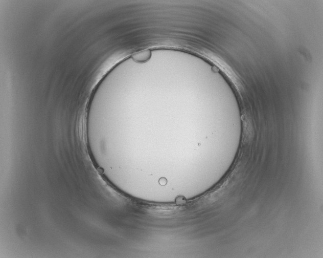 X0000115831290200912111304