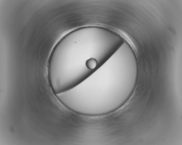 X0000115831292200912111304