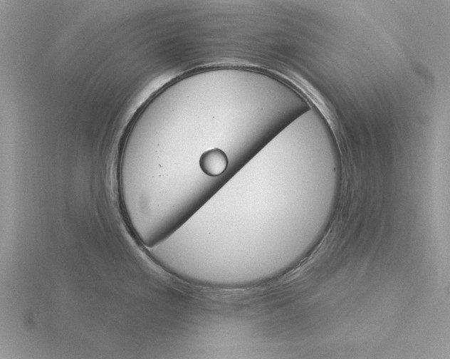 X0000115831293200912111304