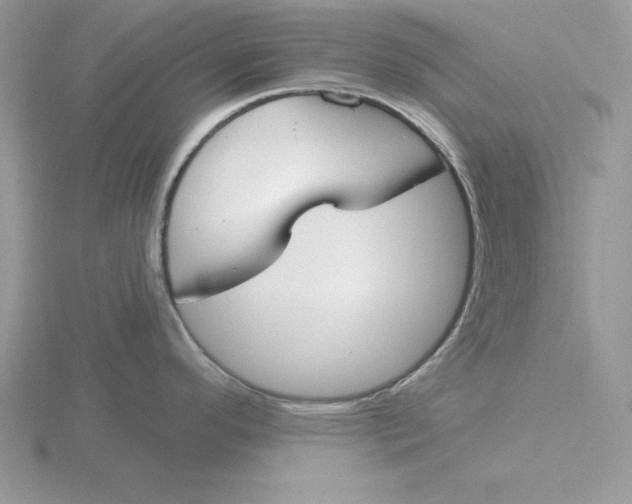 X0000115831296200912111304