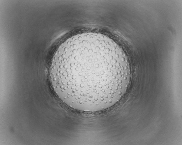 X0000115831302200912111304