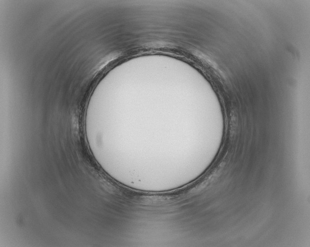 X0000115831305200912111304