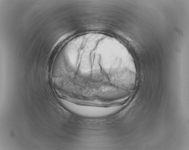 X0000115831306200912111304