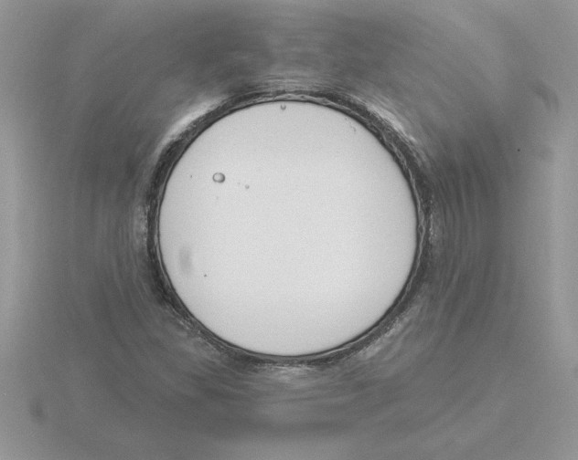 X0000115831309200912111304