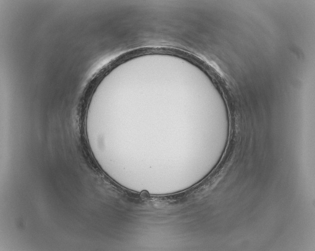 X0000115831311200912111304