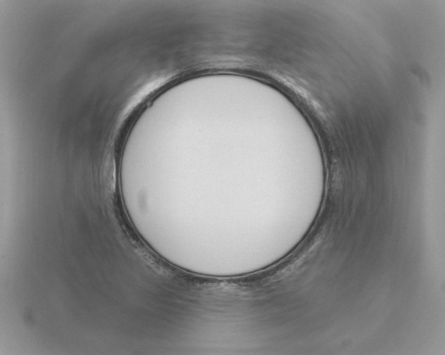 X0000115831317200912111304