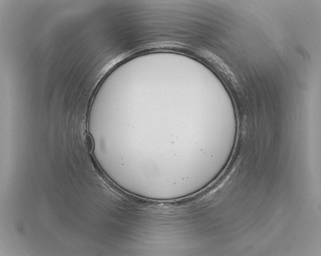 X0000115831321200912111304