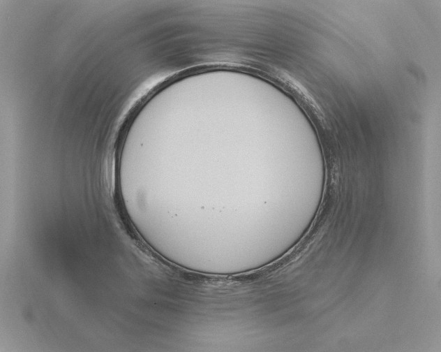 X0000115831323200912111304