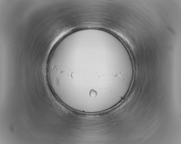 X0000115831325200912111304