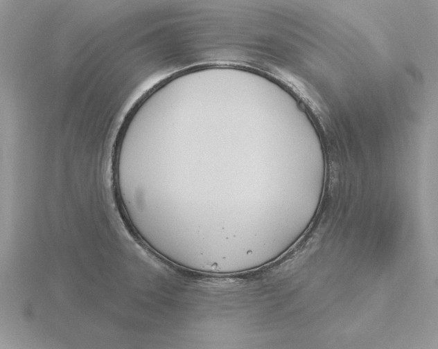 X0000115831331200912111304