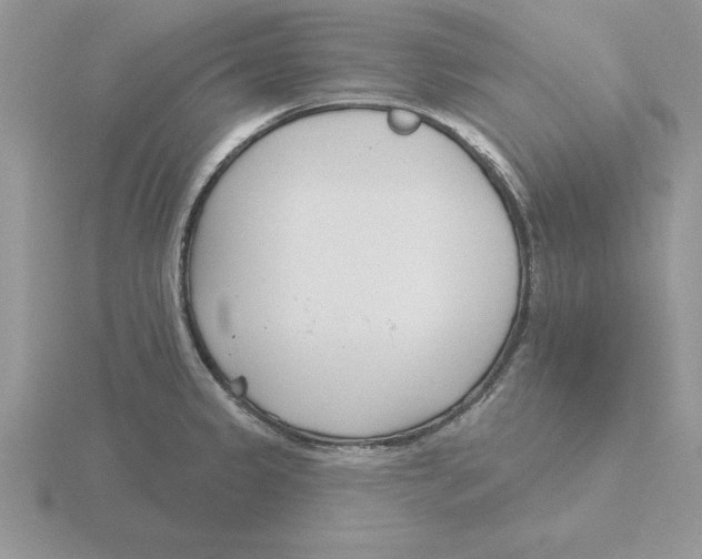 X0000115831333200912111304