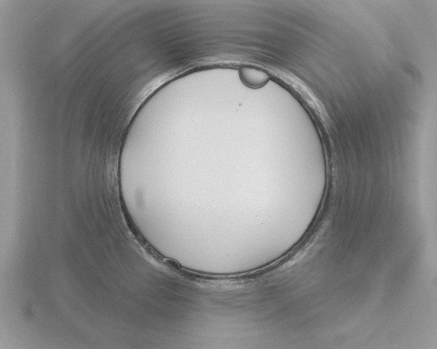 X0000115831337200912111304