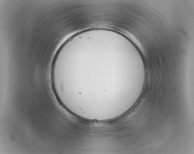 X0000115831339200912111304