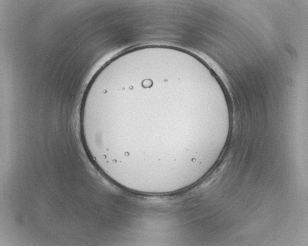 X0000115831341200912111304