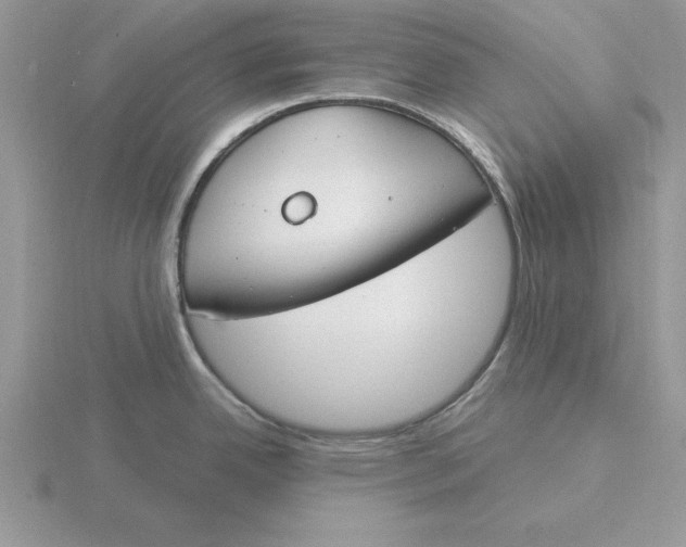 X0000115831342200912111304