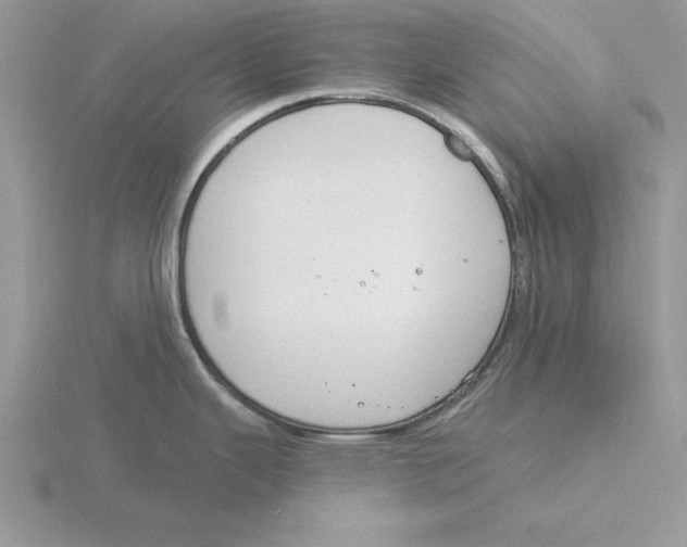 X0000115831343200912111304