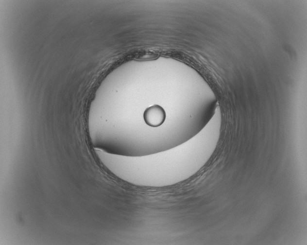 X0000115831345200912111304