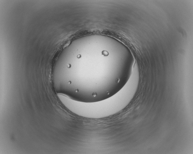 X0000115831348200912111304