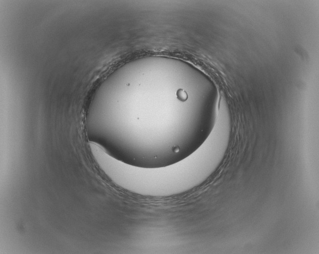 X0000115831349200912111304