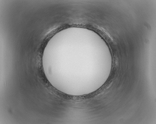 X0000115831350200912111304