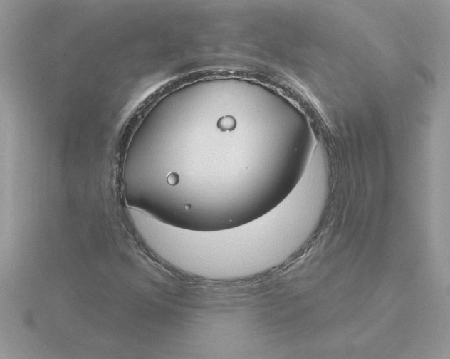 X0000115831352200912111304