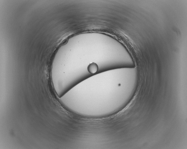 X0000115831353200912111304