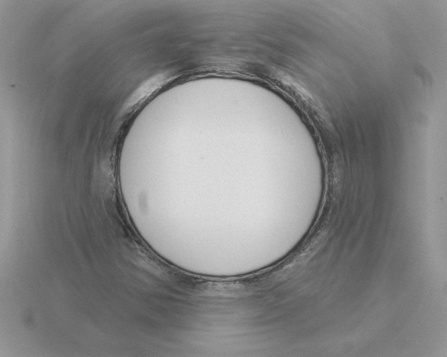 X0000115831354200912111304