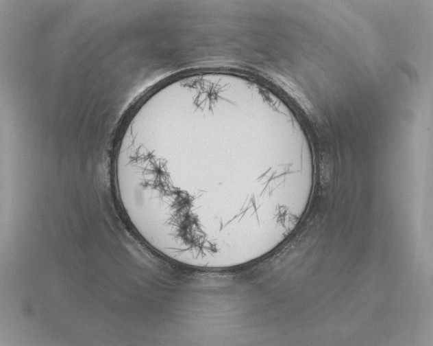 X0000115831356200912111304