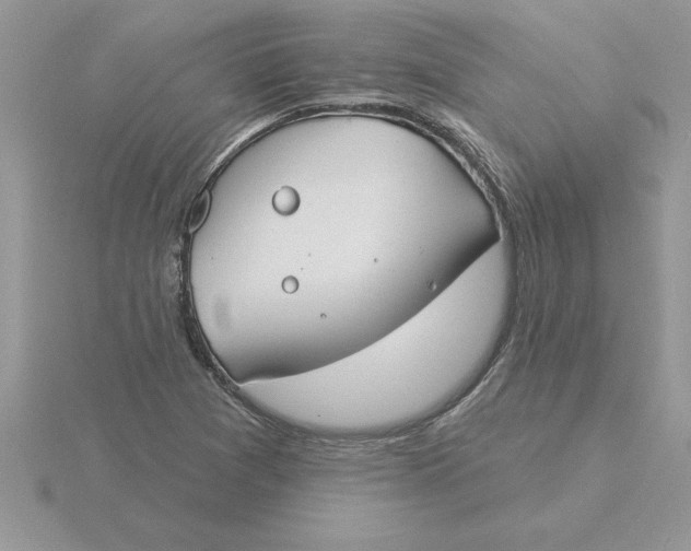 X0000115831361200912111304