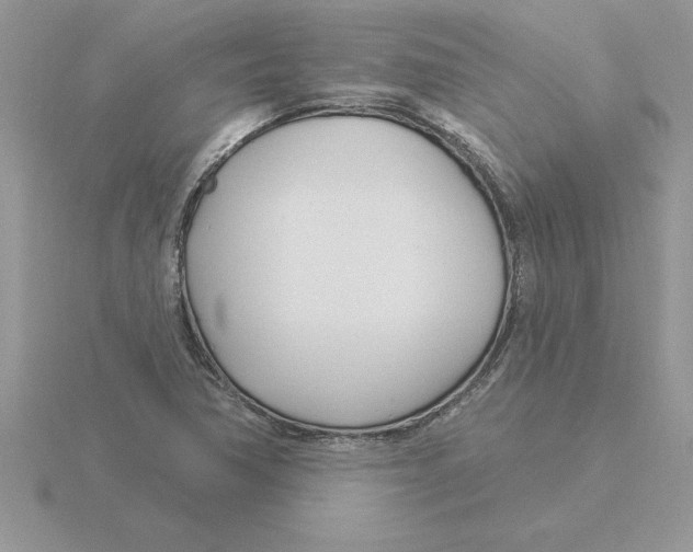 X0000115831362200912111304