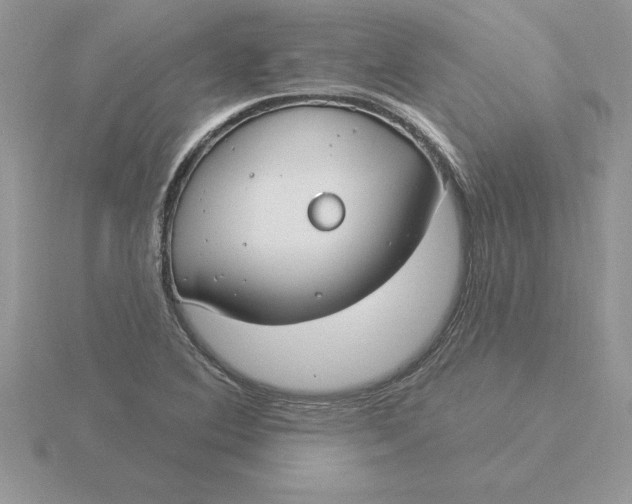 X0000115831364200912111304