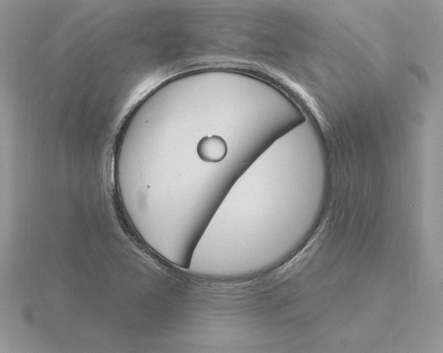 X0000115831365200912111303