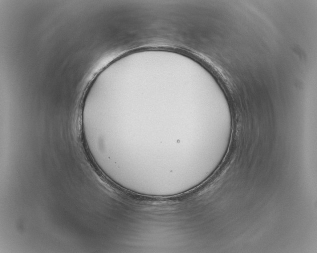 X0000115831367200912111303