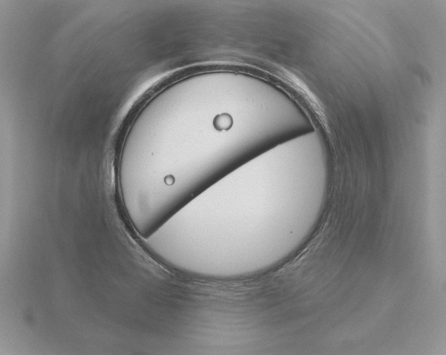 X0000115831368200912111303