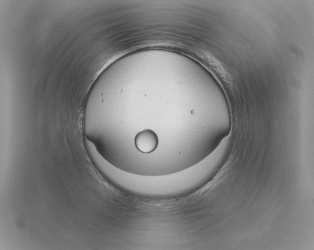 X0000115831369200912111303