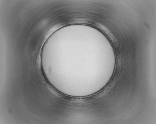 X0000115831370200912111303