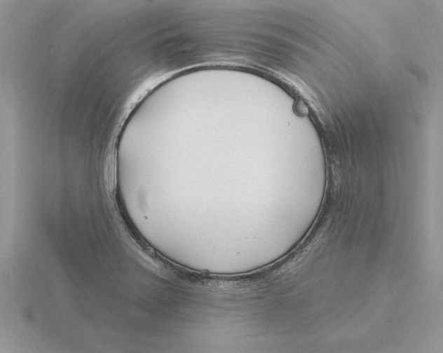 X0000115831371200912111303