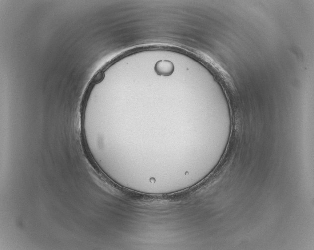 X0000115831372200912111303