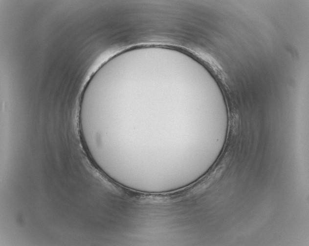 X0000115831374200912111303