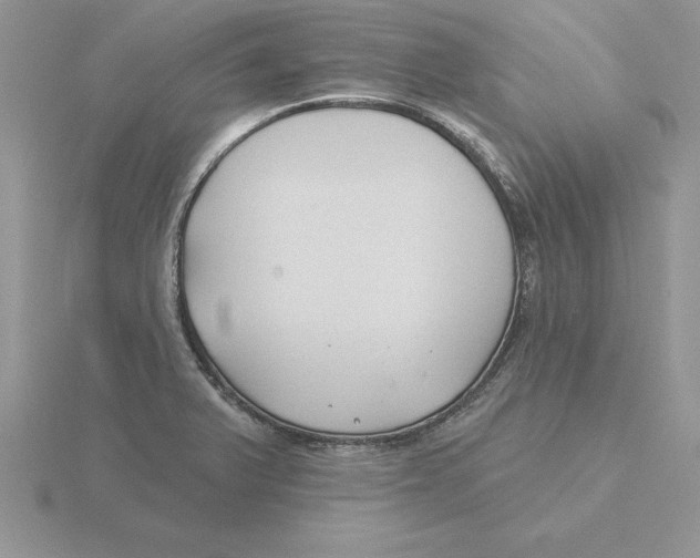 X0000115831375200912111303