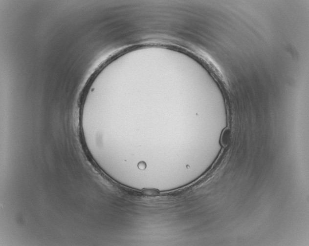 X0000115831376200912111303