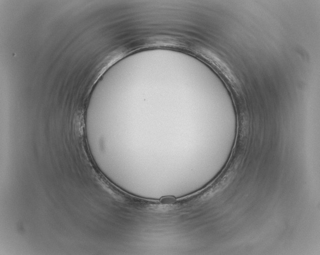 X0000115831377200912111303