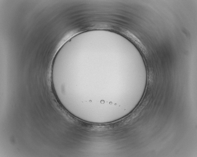 X0000115831378200912111303