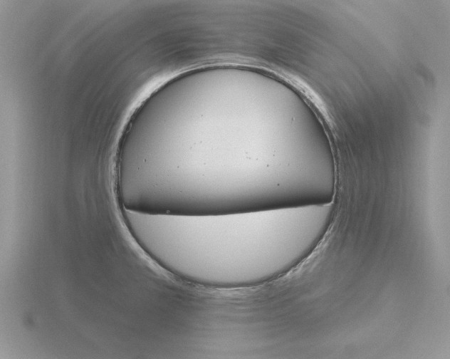 X0000115831381200912111303